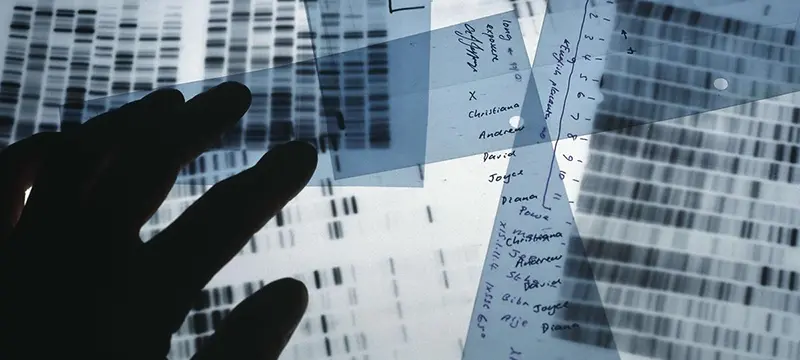Genetic profiling display